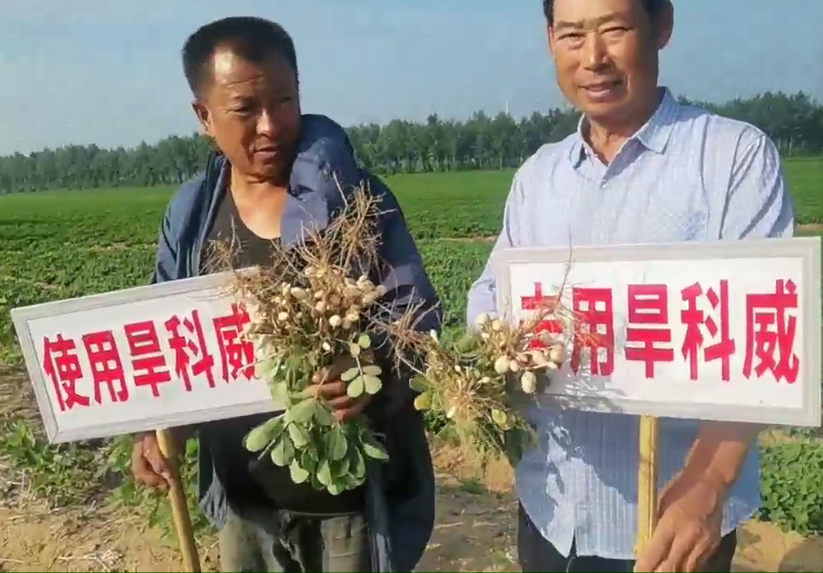 花生用旱科威  產(chǎn)量多一倍